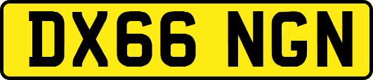 DX66NGN