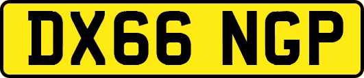 DX66NGP