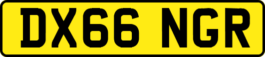 DX66NGR