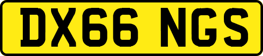 DX66NGS
