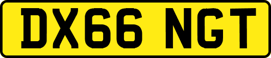DX66NGT