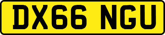 DX66NGU