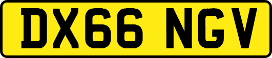 DX66NGV