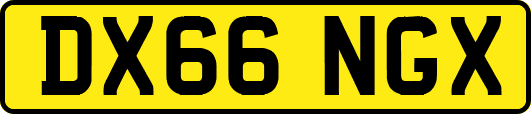 DX66NGX