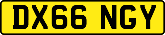 DX66NGY