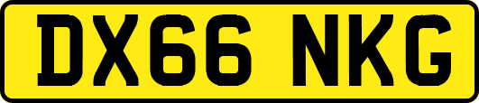 DX66NKG