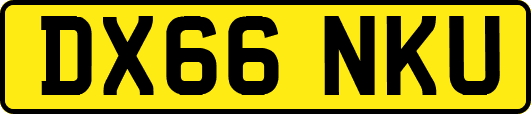 DX66NKU