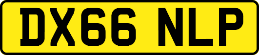 DX66NLP