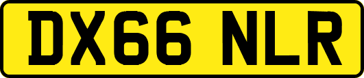 DX66NLR