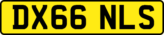 DX66NLS