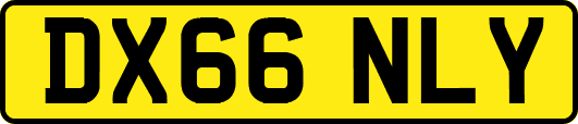 DX66NLY