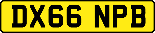 DX66NPB