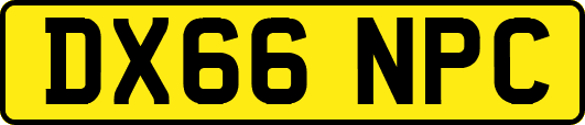 DX66NPC