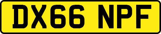 DX66NPF