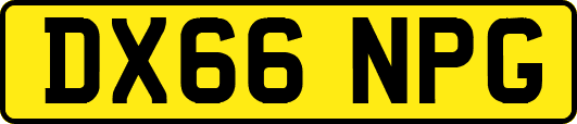 DX66NPG