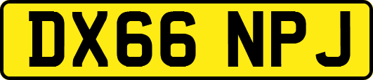 DX66NPJ