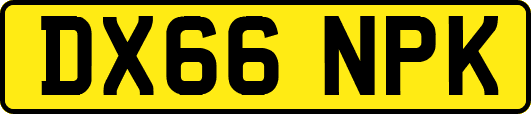 DX66NPK