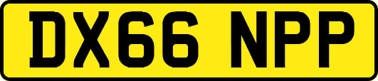 DX66NPP