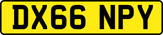 DX66NPY