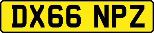 DX66NPZ