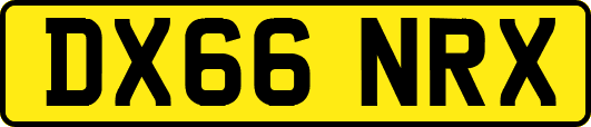 DX66NRX