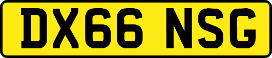 DX66NSG