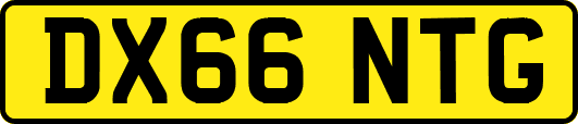 DX66NTG