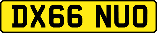 DX66NUO