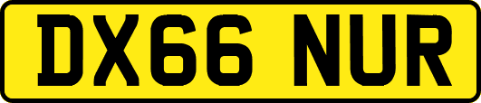 DX66NUR