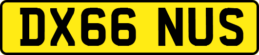 DX66NUS