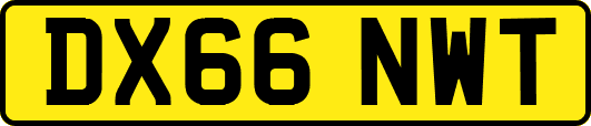 DX66NWT