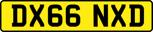DX66NXD
