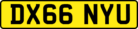 DX66NYU