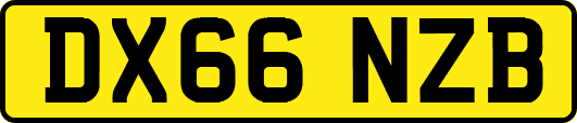 DX66NZB