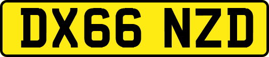DX66NZD