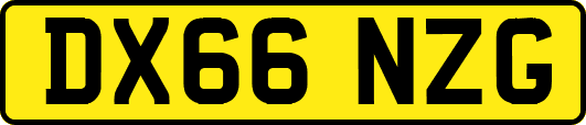 DX66NZG