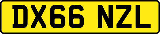 DX66NZL