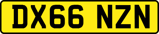 DX66NZN