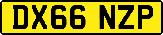 DX66NZP