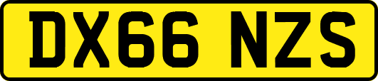 DX66NZS