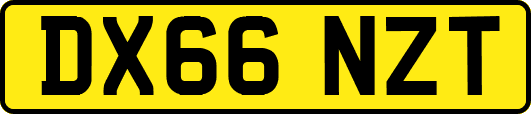 DX66NZT