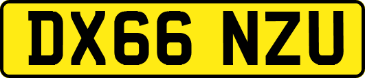 DX66NZU