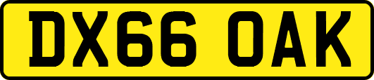DX66OAK