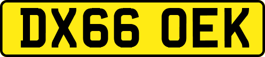 DX66OEK