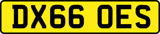 DX66OES