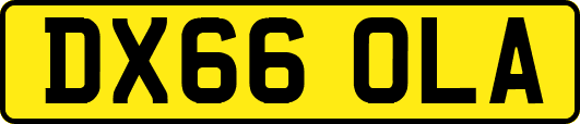 DX66OLA
