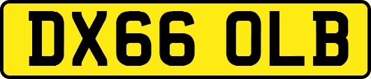 DX66OLB