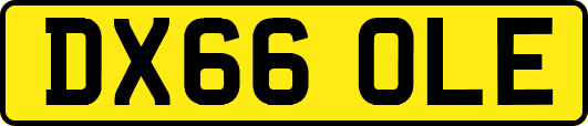 DX66OLE