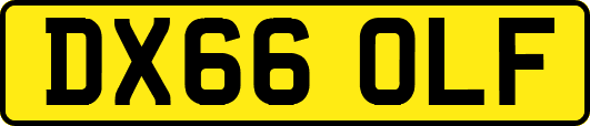 DX66OLF