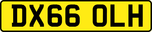 DX66OLH